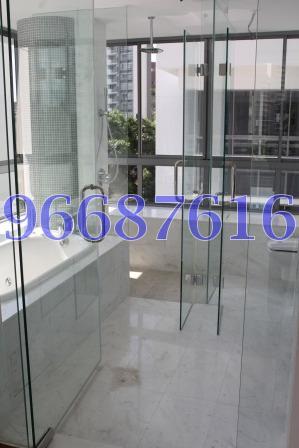 CityVista Residences (D9), Condominium #163097732